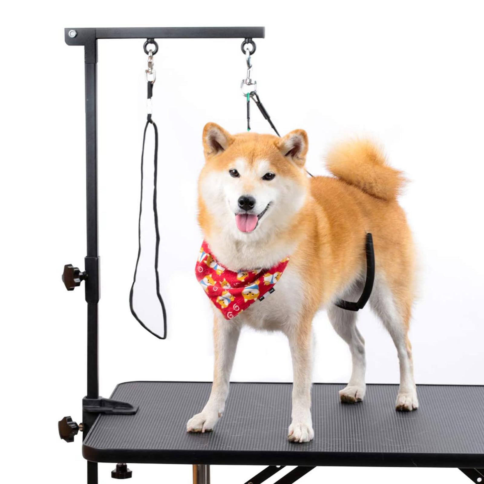 Folding Pet Grooming Table Arm Clamp - Braccio per toelettatura per animali domestici