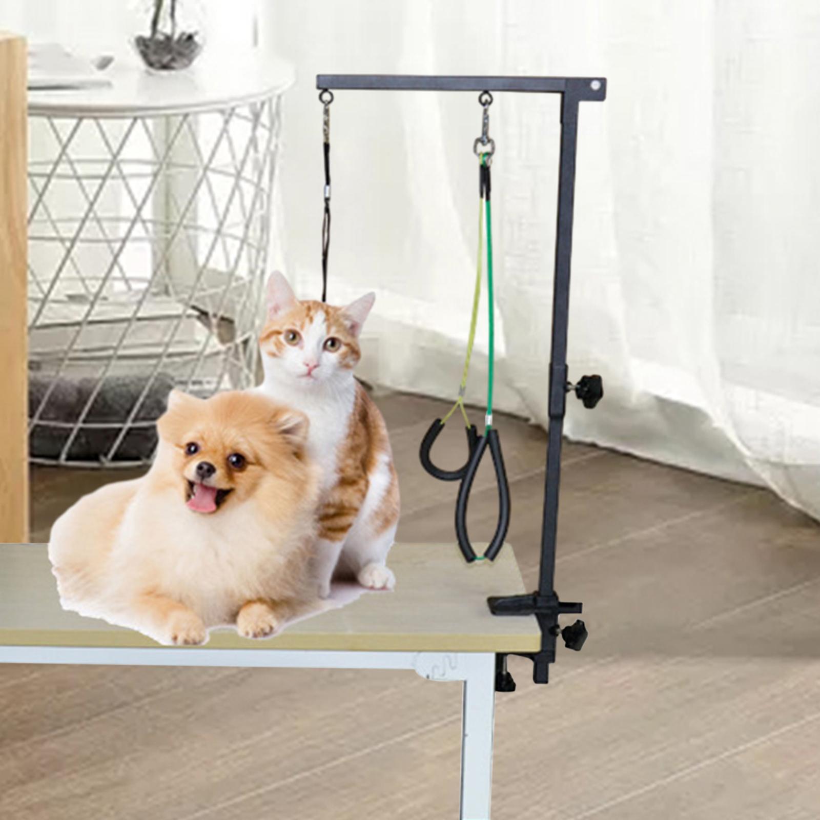 Bracciolo per Toelettatura Can - Folding Pet Grooming Table Arm Clamp recensione e prezzo