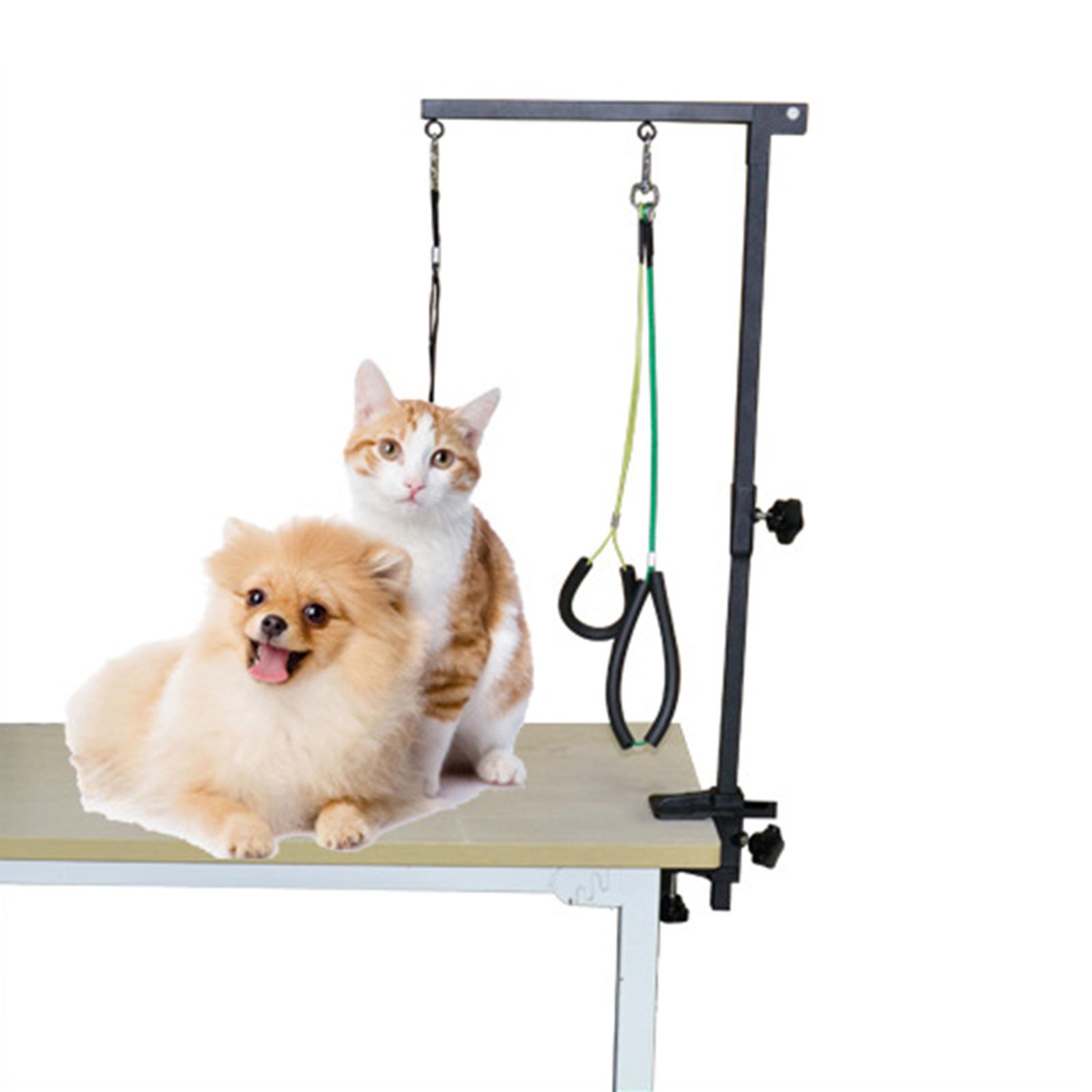 Bracciolo per Toelettatura Can - Folding Pet Grooming Table Arm Clamp recensione e prezzo