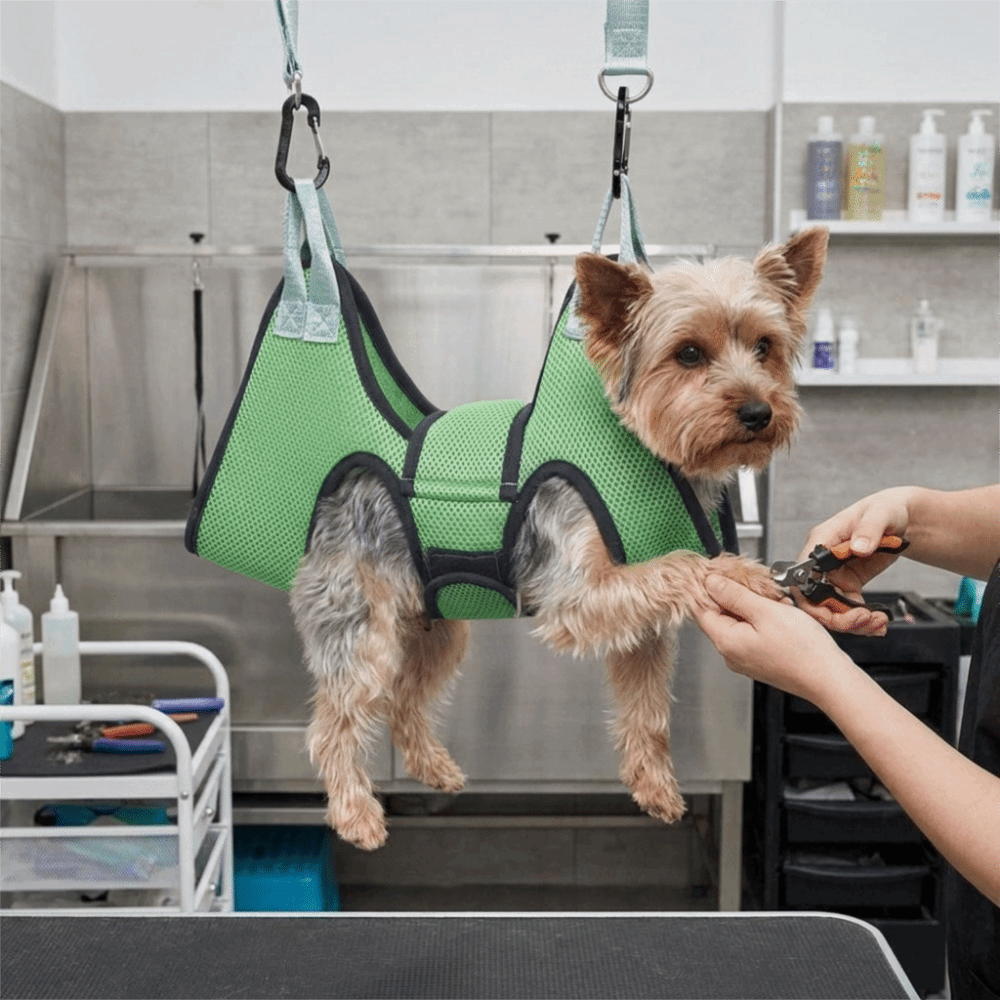 Amaca regolabile in rete per t - Pet Grooming Hammock Sling Restraint recensione e prezzo