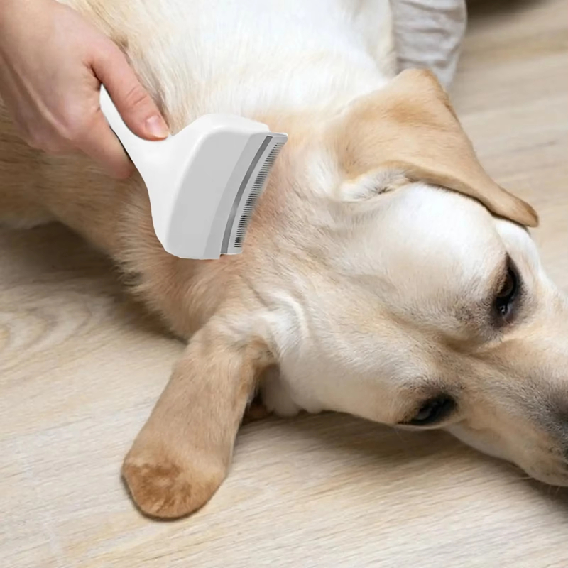 Spazzola districante per cani  - Undercoat Rake Dematting Tool Dog Shedding recensione e prezzo