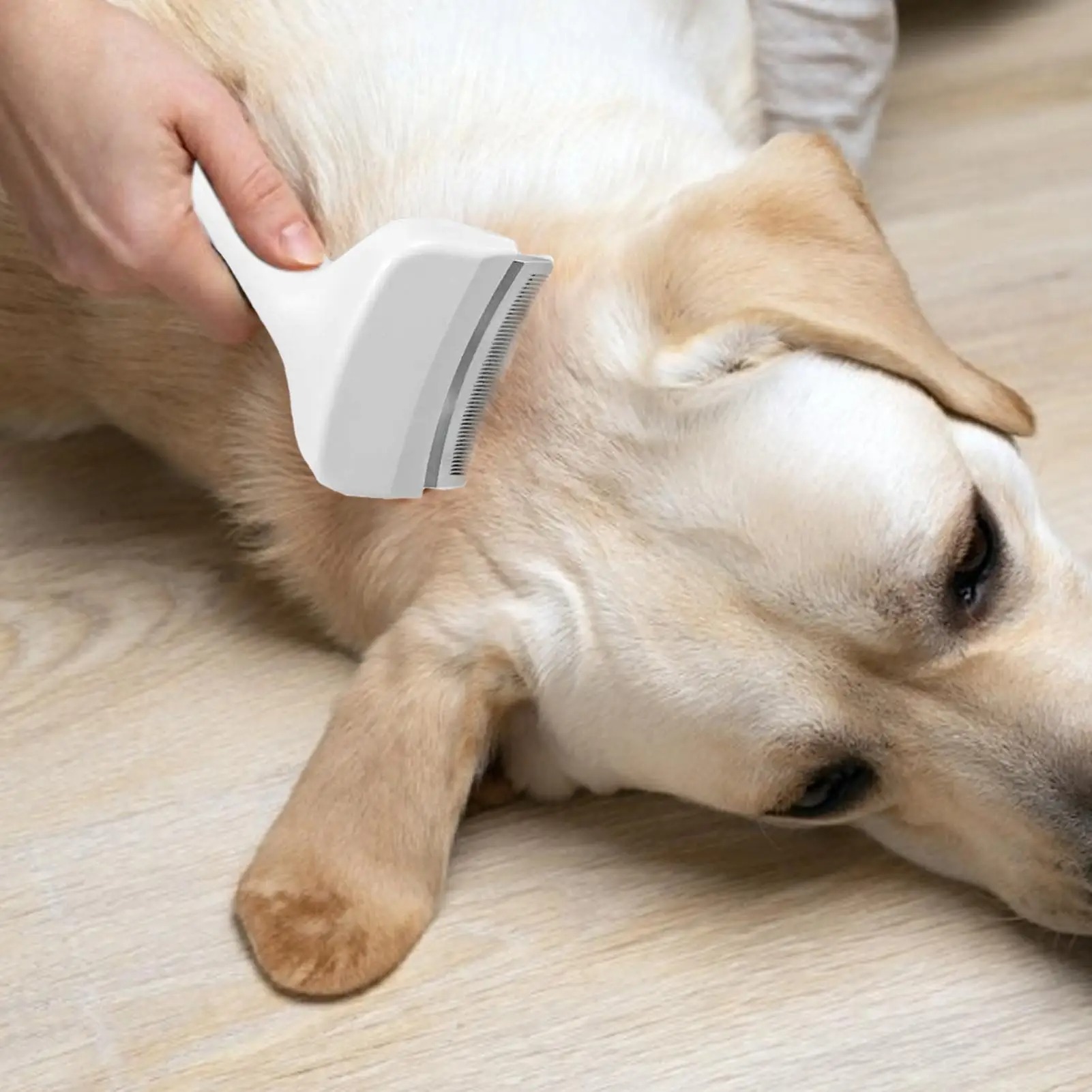 Spazzola districante per cani  - Undercoat Rake Dematting Tool Dog Shedding recensione e prezzo