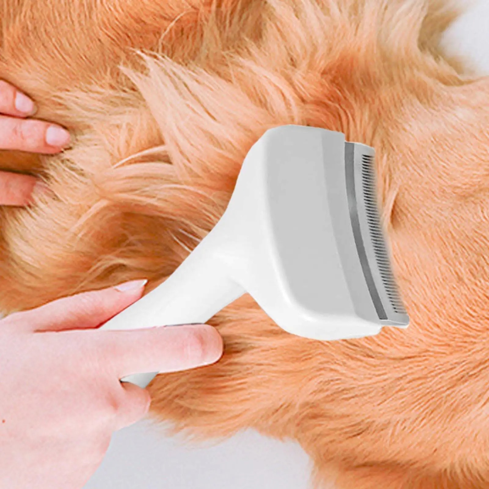 Spazzola districante per cani  - Undercoat Rake Dematting Tool Dog Shedding recensione e prezzo