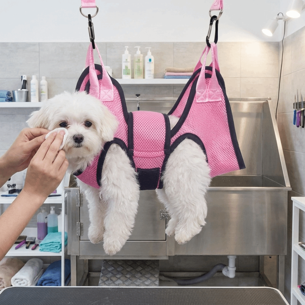 Amaca Regolabile per Toelettat - Pet Grooming Hammock Sling Restraint recensione e prezzo