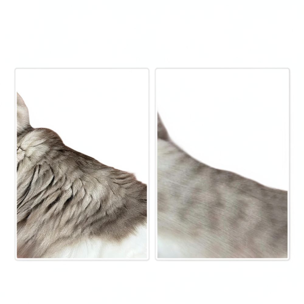 Spazzola professionale per la  - Undercoat Rake Dematting Tool Dog Shedding recensione e prezzo
