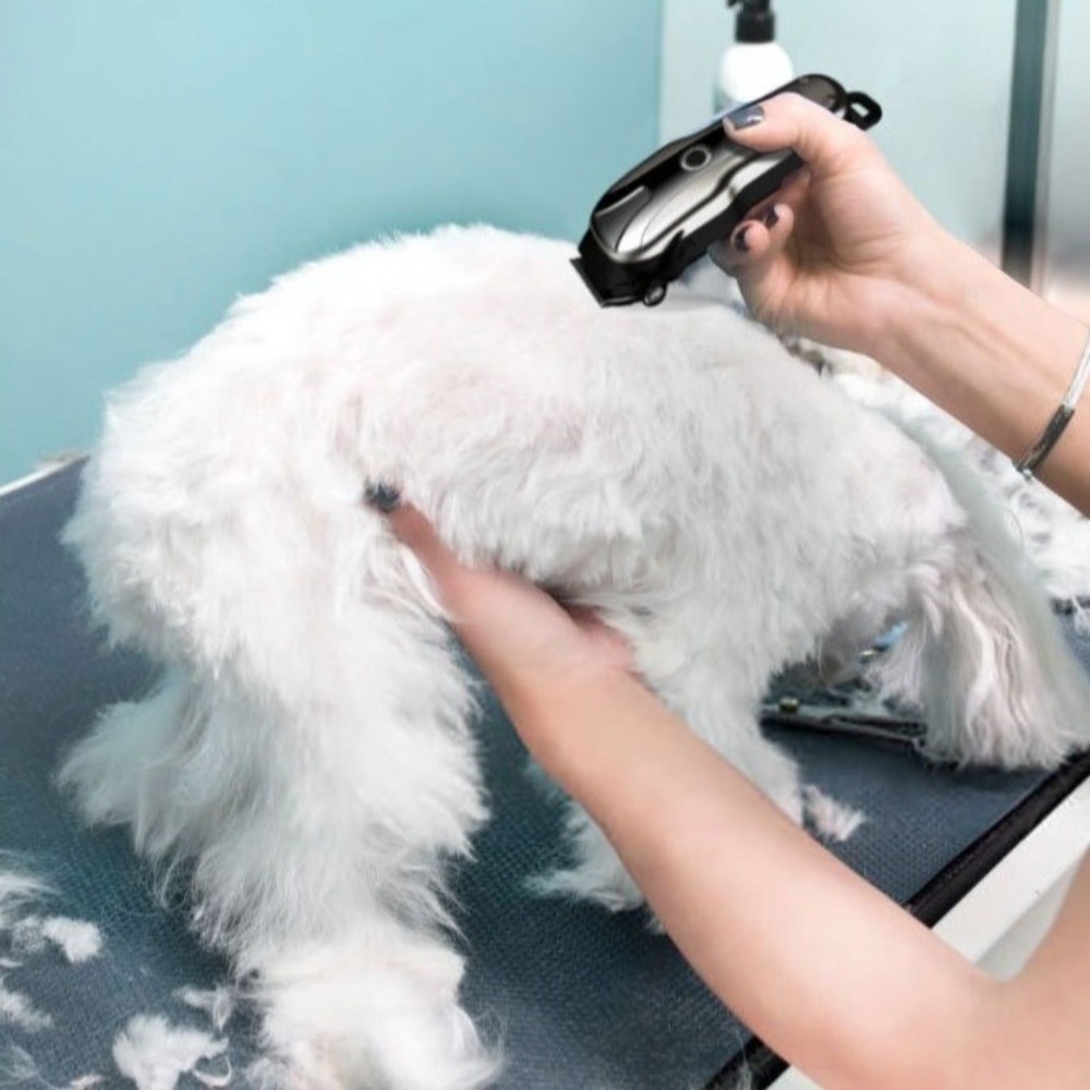 Tagliacapelli Elettrico Univer - Cordless Dog Clippers Low Noise Grooming recensione e prezzo