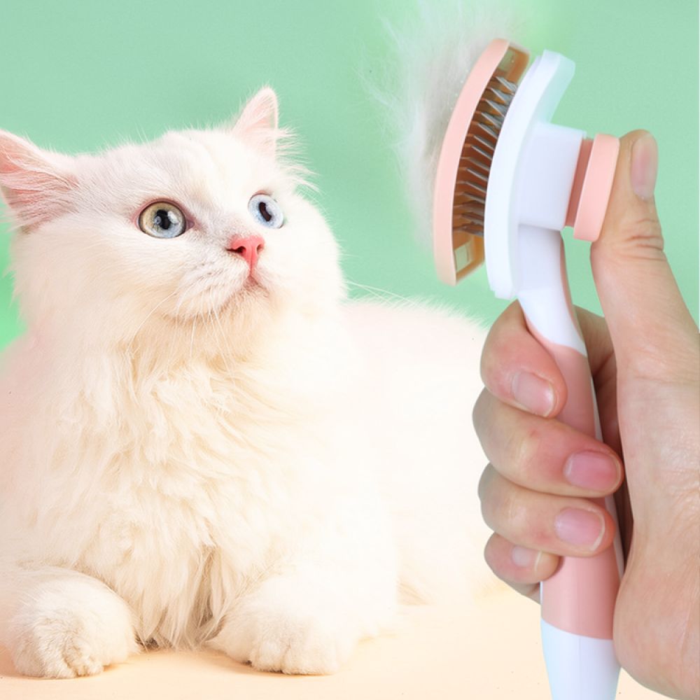 Spazzola per la toelettatura d - Slicker Brush Self Cleaning Pet Grooming recensione e prezzo