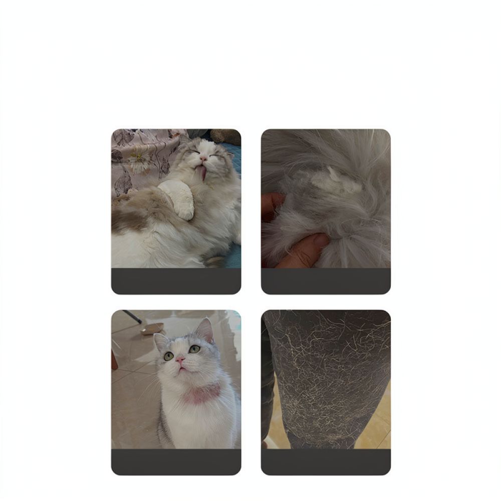 Strumento per la toelettatura  - Undercoat Rake Dematting Tool Dog Shedding recensione e prezzo