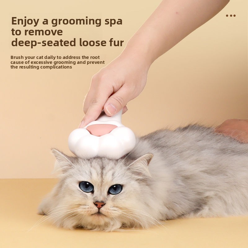 Spazzola per toelettatura anim - Slicker Brush Self Cleaning Pet Grooming recensione e prezzo