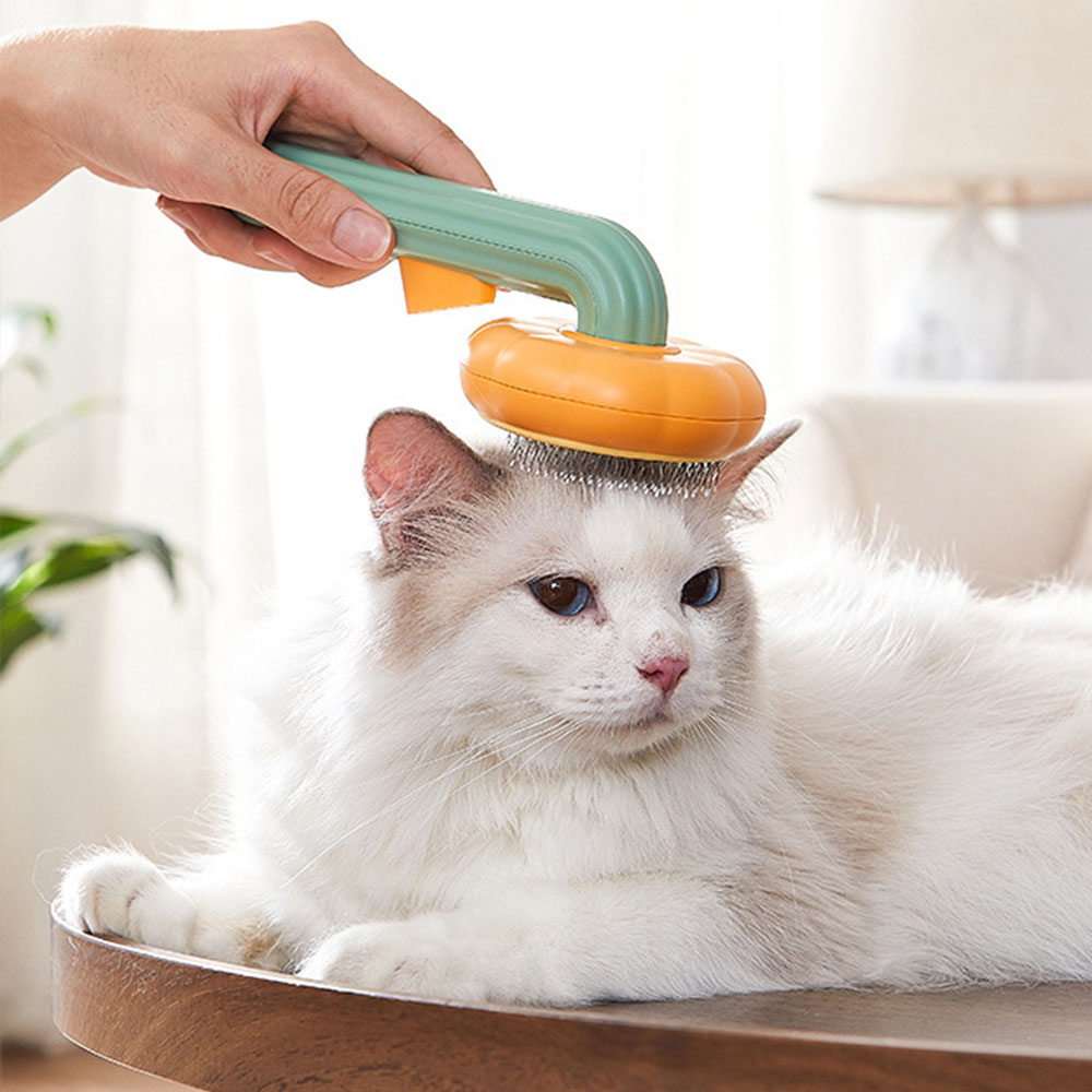 Spazzola per la Rimozione dei  - Slicker Brush Self Cleaning Pet Grooming recensione e prezzo
