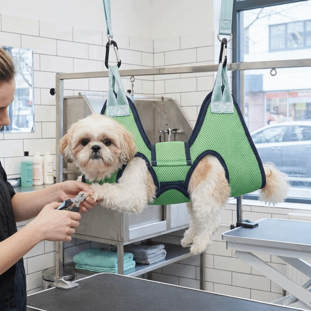 Amaca Regolabile per Toelettat - Pet Grooming Hammock Sling Restraint recensione e prezzo