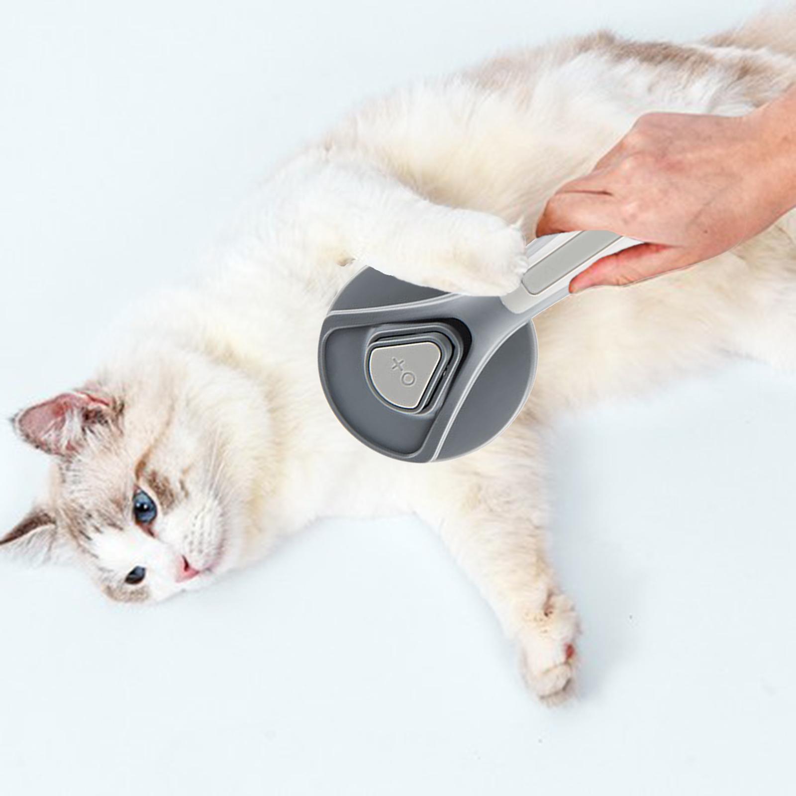 Spazzola per Toelettatura di C - Slicker Brush Self Cleaning Pet Grooming recensione e prezzo