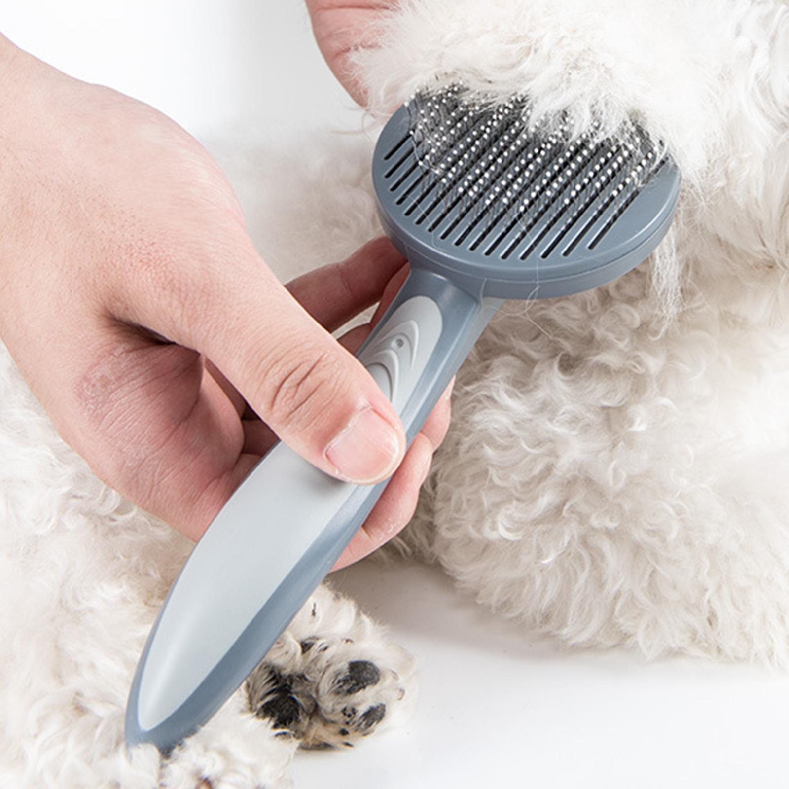 Spazzola per Toelettatura di C - Slicker Brush Self Cleaning Pet Grooming recensione e prezzo