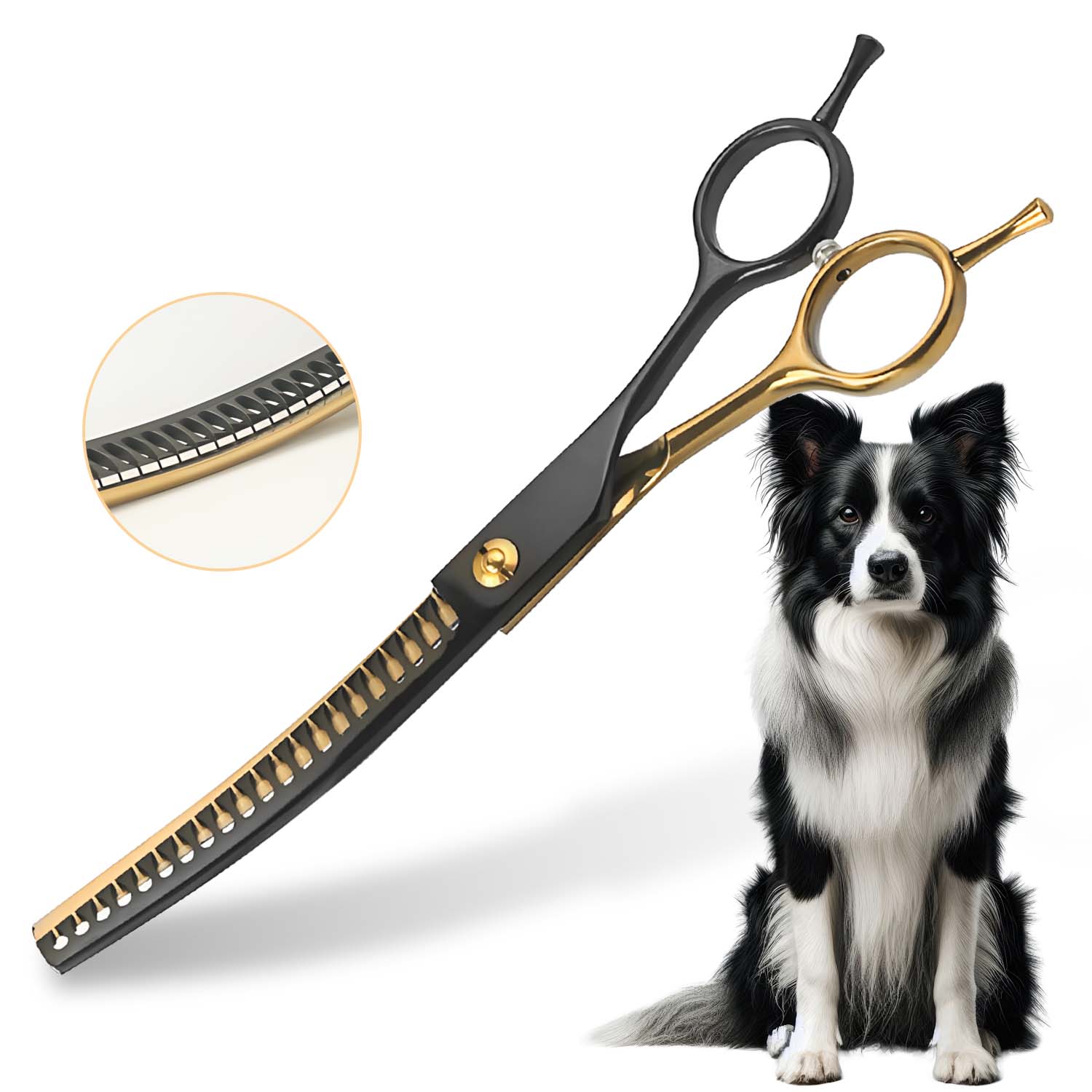 Forbici Professionali Curve da - Professional Pet Grooming Scissors Curved recensione e prezzo
